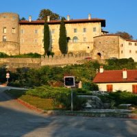 Half-day Tours