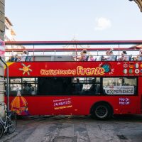 City Tours