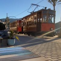 Shore Excursions