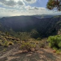 Shore Excursions