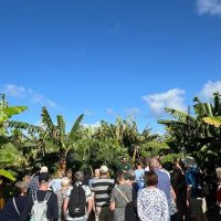 Coffee & Tea Tours