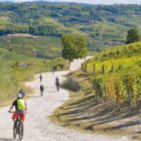 Bike & Mountain Bike Tours