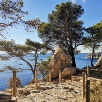 Tours & Sightseeing