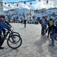 Holiday & Seasonal Tours
