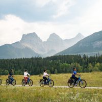 Half-day Tours