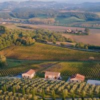 Food, Wine & Nightlife