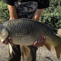 Fishing Charters & Tours