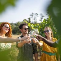 Cultural Tours
