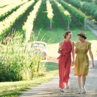 Wine Tasting & Winery Tours