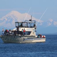 Luxury Tours