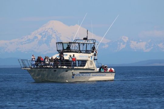 Valentine's Day in Victoria