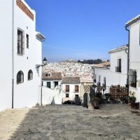 Cultural & Theme Tours