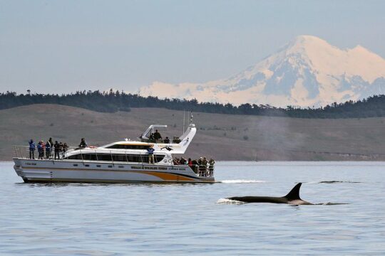 Easter in Vancouver Island