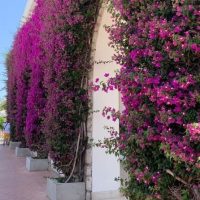 Walking & Biking Tours