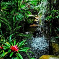 Private & Custom Tours
