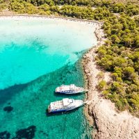 Day Cruises