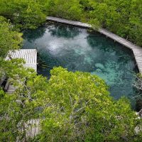Luxury Tours