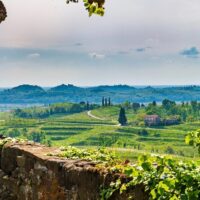 Wine Tasting & Winery Tours