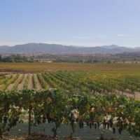 Wine Tasting & Winery Tours