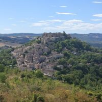 Private Sightseeing Tours