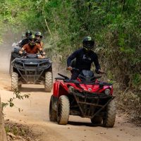 Half-day Tours
