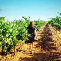 Day Trips & Excursions
