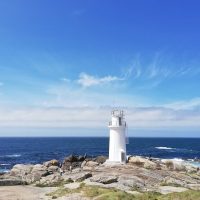 Half-day Tours