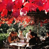 Wine Tasting & Winery Tours