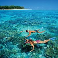 Glass Bottom Boat Tours