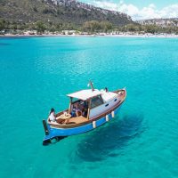 Dolphin & Whale Watching