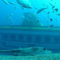 Submarine Tours