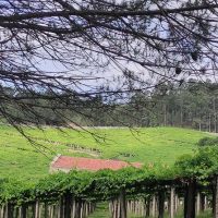 4WD, ATV & Off-Road Tours