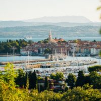 Food, Wine & Nightlife