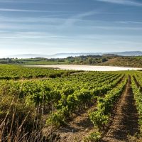 Full-day Tours