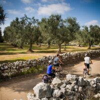 Eco Tours