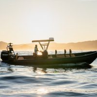 Boat Tours