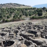 Private Sightseeing Tours