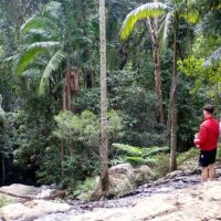 Shore Excursions