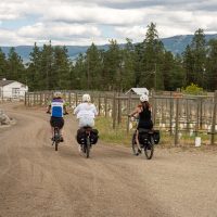Bike & Mountain Bike Tours