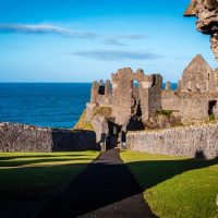 Bus & Minivan Tours