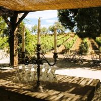 Cultural & Theme Tours