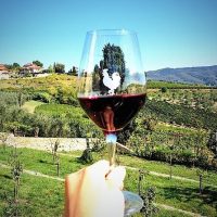Food, Wine & Nightlife
