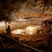 Layover Tours