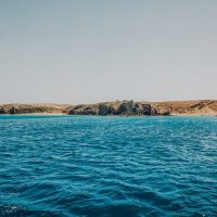 Half-day Tours