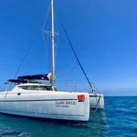 Day Cruises