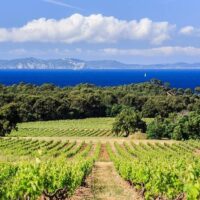 Wine Tasting & Winery Tours