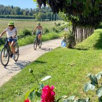 Walking & Biking Tours