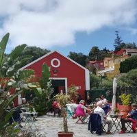 Wine Tasting & Winery Tours