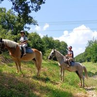 Classes & Workshops