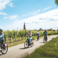 Bike & Mountain Bike Tours